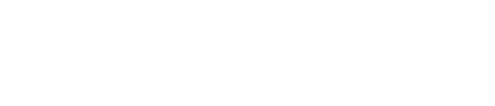 AutoNation logo